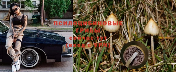 метадон Алексин