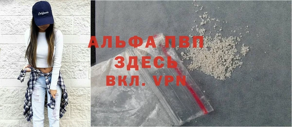 метадон Алексин