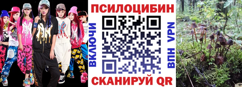 где найти   блэк спрут ссылки  Галлюциногенные грибы прущие грибы  Ейск 